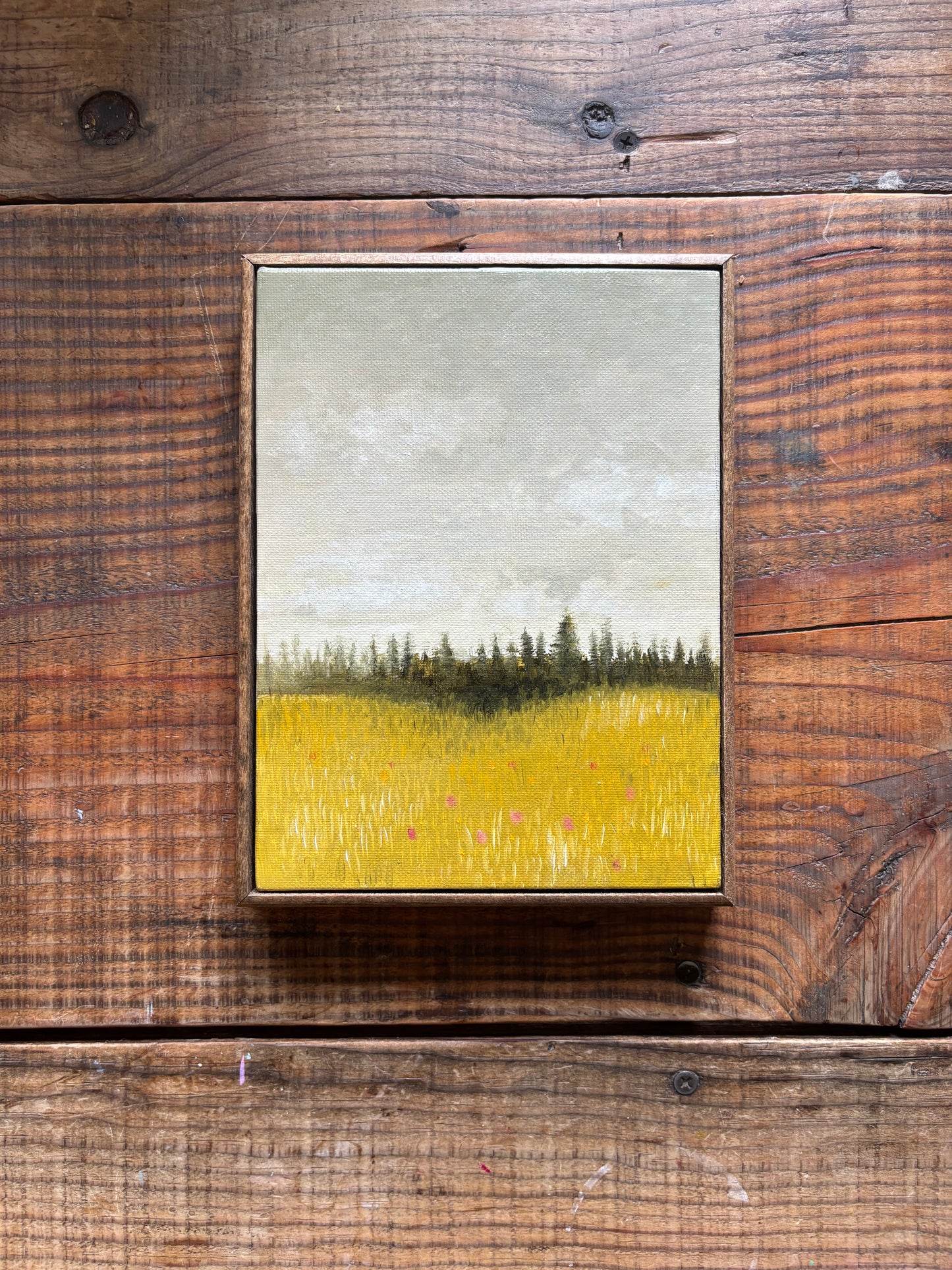 meadow