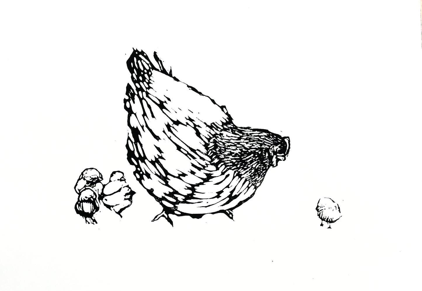mother hen
