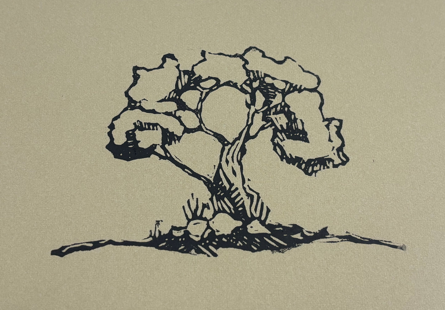 from seed